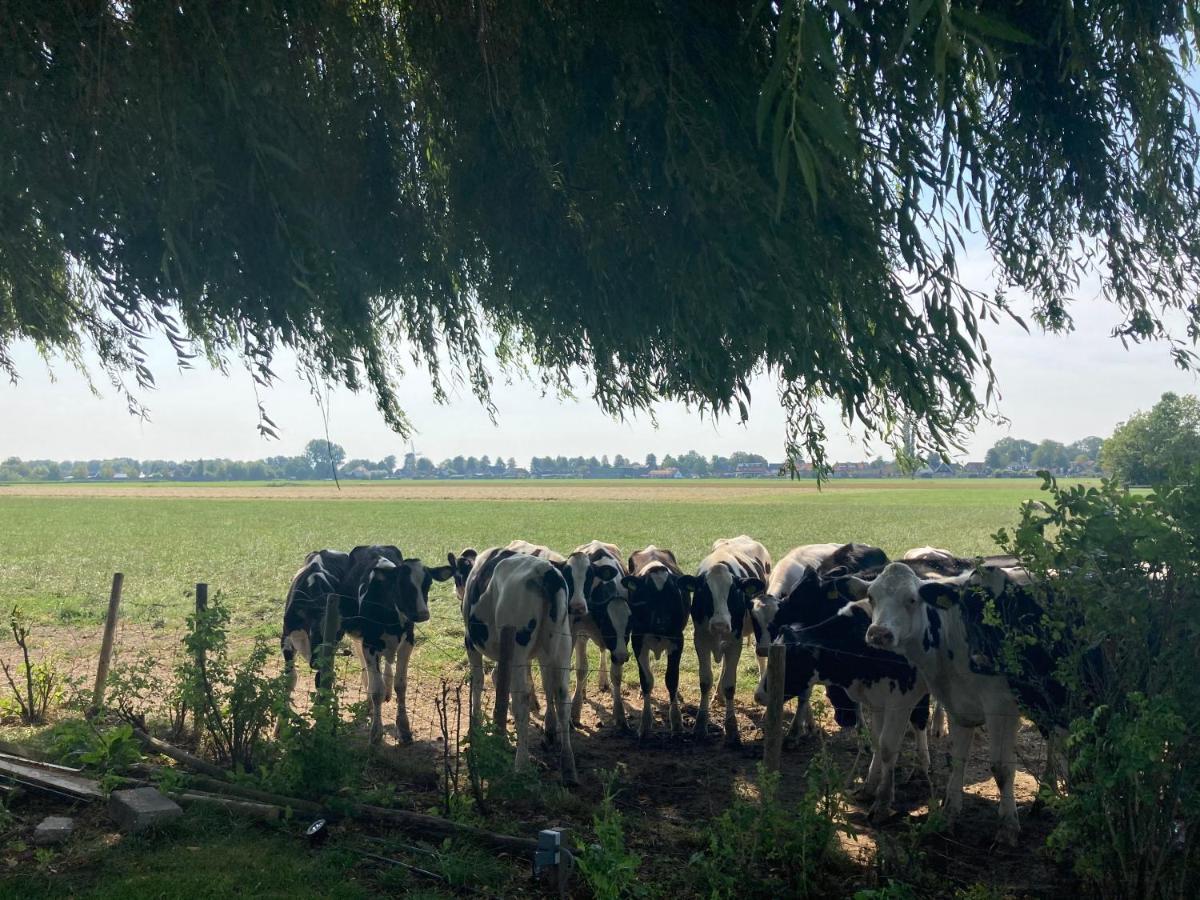 Vakantiehuis Het Uilennest Wijdenes Exteriör bild