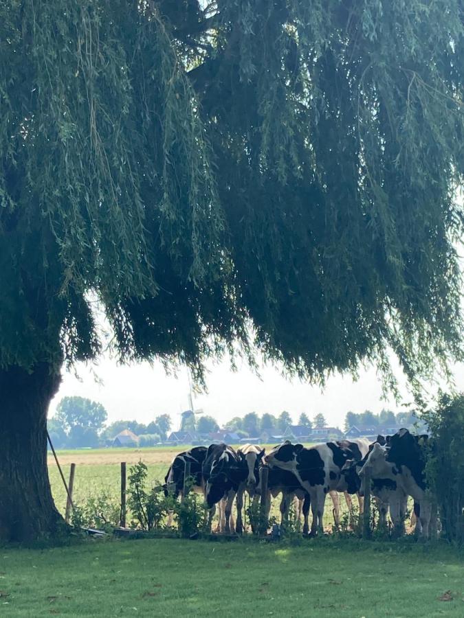 Vakantiehuis Het Uilennest Wijdenes Exteriör bild