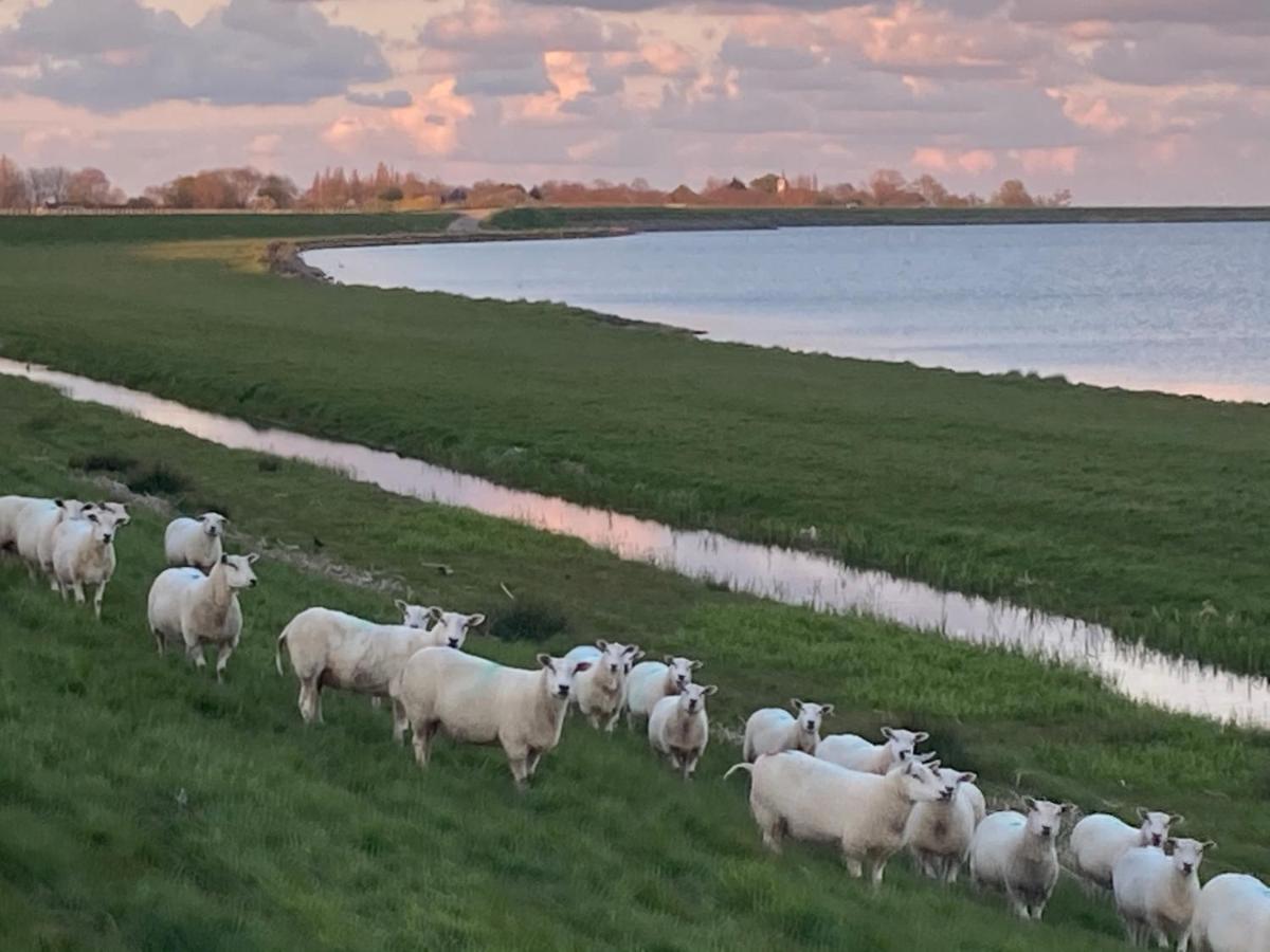 Vakantiehuis Het Uilennest Wijdenes Exteriör bild