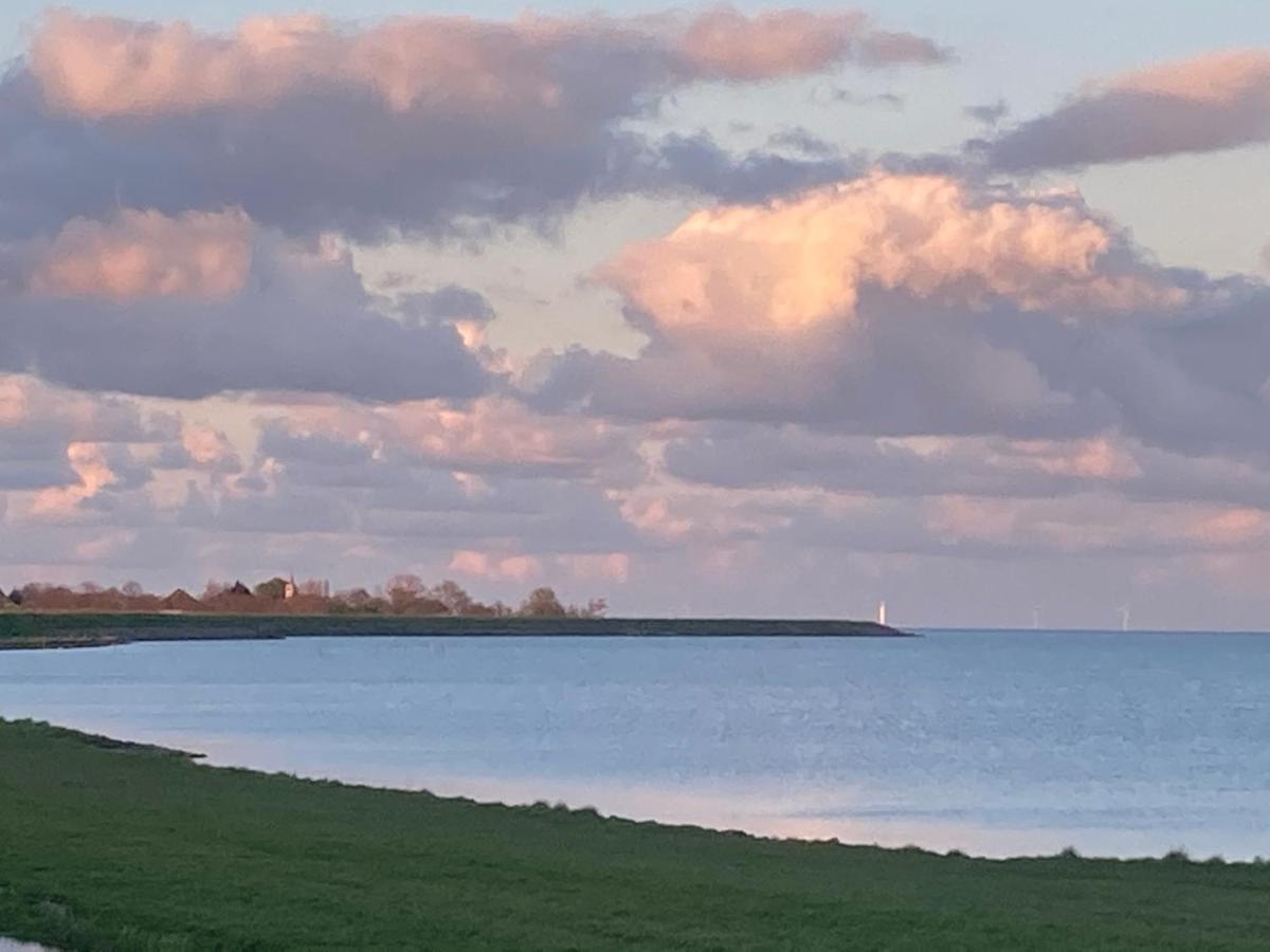 Vakantiehuis Het Uilennest Wijdenes Exteriör bild