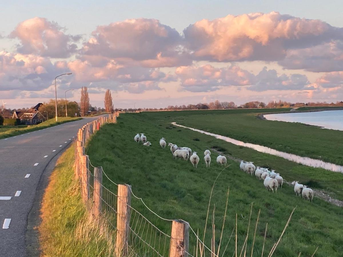 Vakantiehuis Het Uilennest Wijdenes Exteriör bild