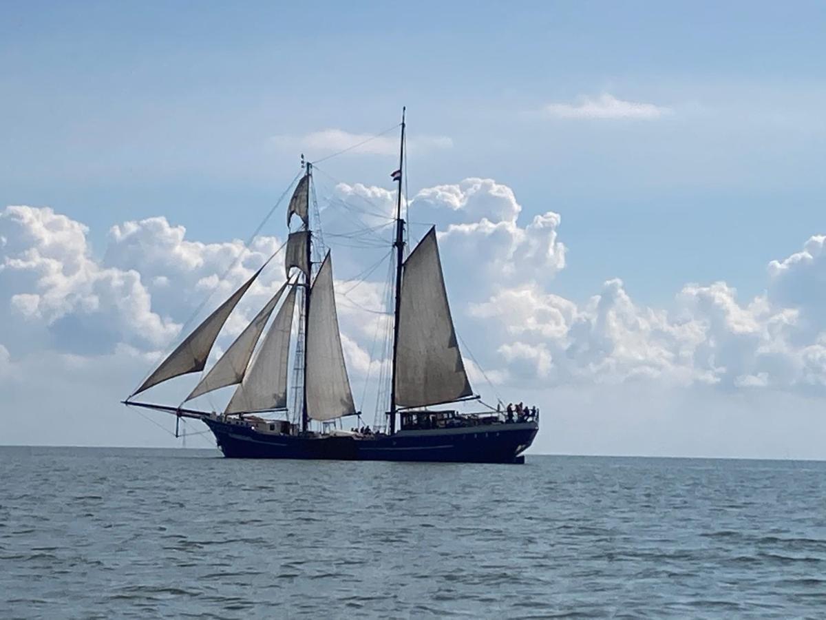 Vakantiehuis Het Uilennest Wijdenes Exteriör bild