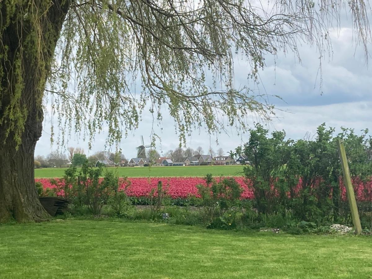 Vakantiehuis Het Uilennest Wijdenes Exteriör bild