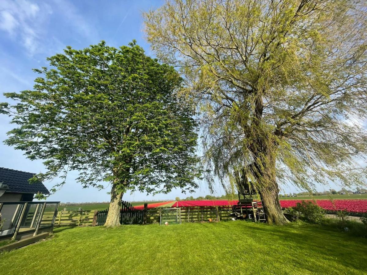Vakantiehuis Het Uilennest Wijdenes Exteriör bild
