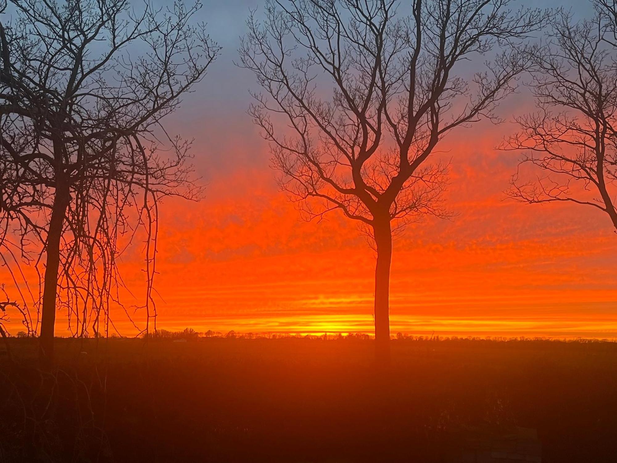 Vakantiehuis Het Uilennest Wijdenes Exteriör bild