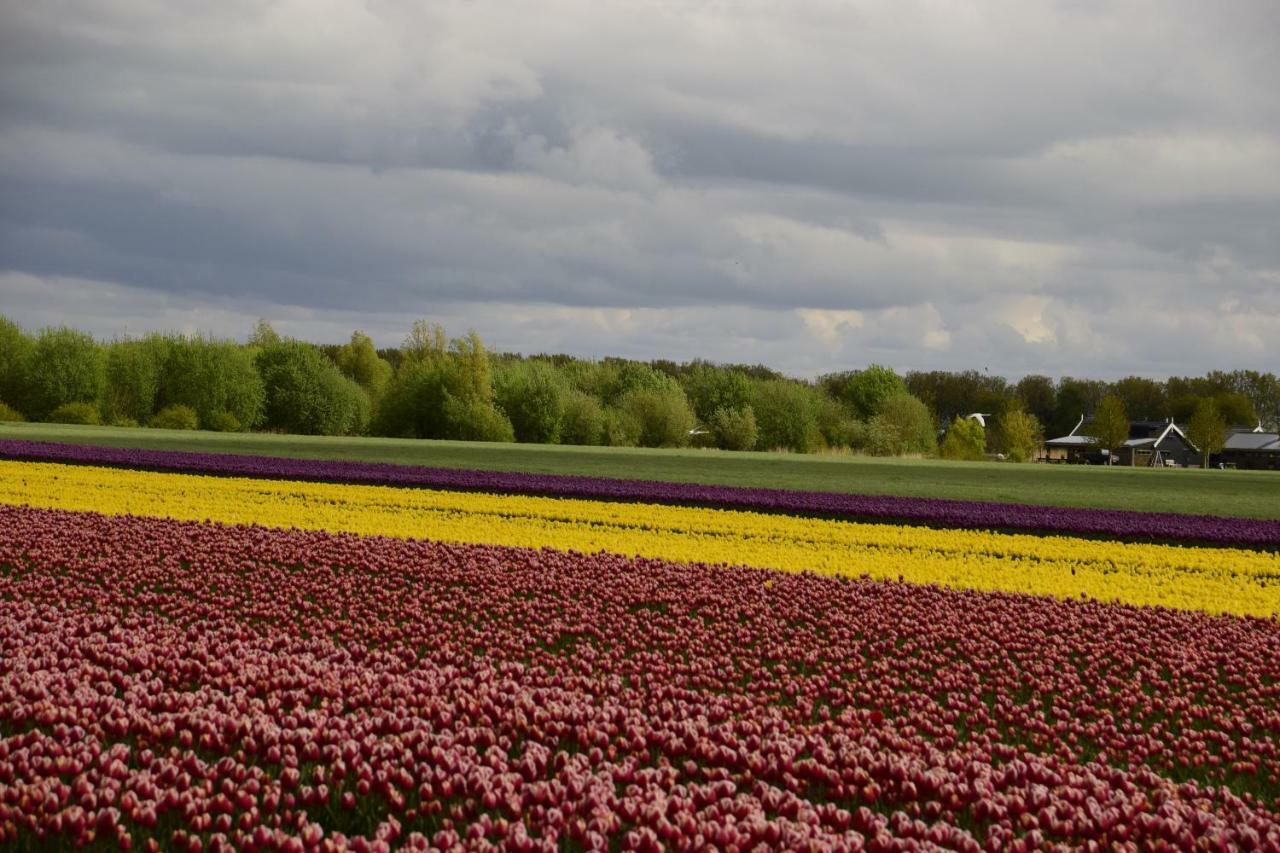 Vakantiehuis Het Uilennest Wijdenes Exteriör bild