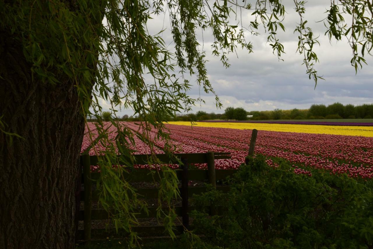 Vakantiehuis Het Uilennest Wijdenes Exteriör bild