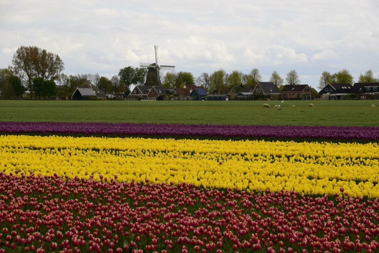 Vakantiehuis Het Uilennest Wijdenes Exteriör bild